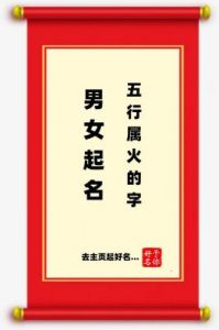 字的五行属性是什么？致字起名大全！