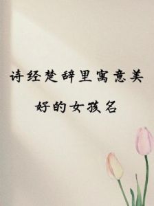 兔宝宝诗经取名：寻找属于兔的好名字