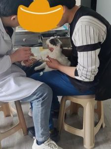 带宝宝去打针，刚到诊所婆婆问猫怎么在这？她看置物篮傻眼！