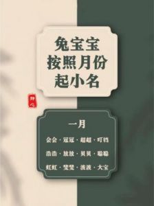 属兔宝宝的时尚小名——属兔最吉利的取名灵感