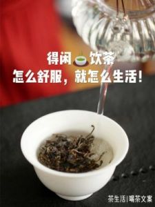 秋季饮茶指南：优选茶品 品味养生之道