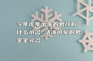 虎年12月份出生男宝宝的乳名推荐