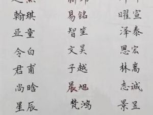 男宝宝属龙起名指南：寓意深远的儿子名字推荐