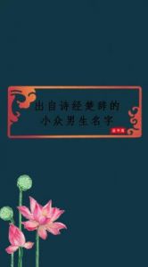 洪姓宝宝命名宝典：诗经与楚辞经典参考