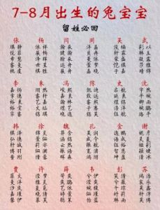 为2025年7月12日出生的男孩挑选新颖独特的名字