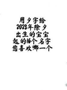 2025年除夕出生的喜水女宝宝取名大全及美好寓意