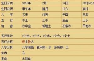 2025年农历腊月二十八日出生男宝宝五行缺木的名字大全