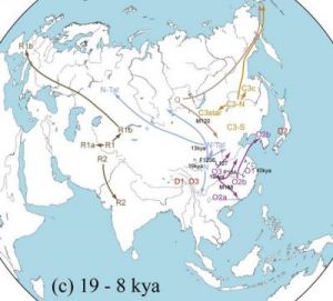 井姓起源及其迁徙分布探究