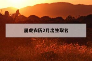 农历二十日夜间出生属虎宝宝五行起名解析