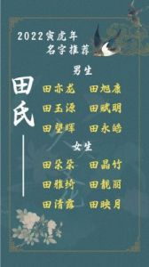 2025寅虎年农历十月十一日出生缺火男孩高雅起名大全