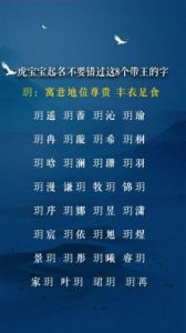 虎宝宝取名大全：精选带“王”字偏旁的名字