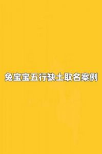 2025年农历十月十七日男宝宝五行缺土取名推荐