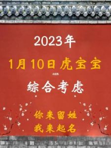 2025壬寅年腊月十九缺土男宝宝命名推荐