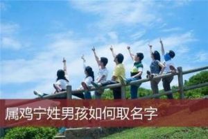 宁姓宝宝取名宝典：寓意吉祥的姓名推荐