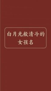 属龙女孩适合的小名推荐——文雅气质兼备的独特选择