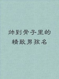 2025年农历腊月二十四日出生缺水男宝宝名字推荐大全