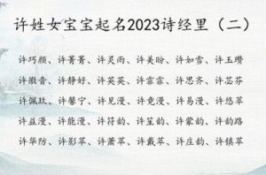 如何为许姓女孩挑选好听的名字？優雅许姓女宝宝取名推荐