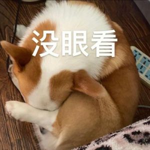 狗狗拉粑粑前转圈的9大原因