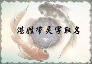 湛姓男孩名字：优雅与气势兼具的精选取名