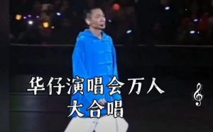 刘德华演唱会引发争议，万众合唱《中国人》回应质疑