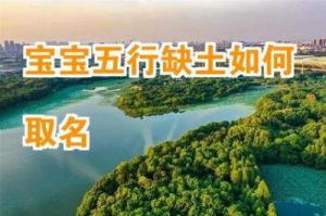 2025年11月30日出生男孩五行缺土的精选起名推荐