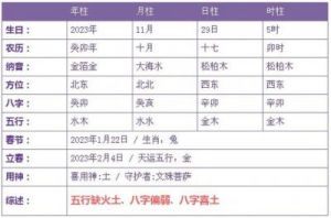 2025年10月29日出生男孩五行缺火的取名指南