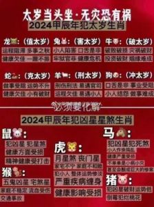 2025年摩羯羊：飞扬人生与九紫共鸣