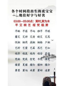 9月出生虎宝宝起名指南：常见字汇总