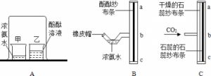 阙姓的名人伟业与郡望堂号探究