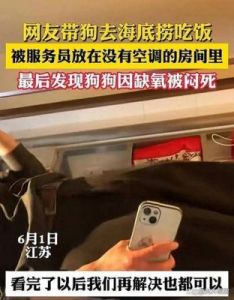 宠物狗聚会被闷死: 餐厅责任何在？