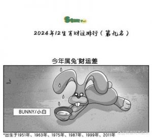 2024年11月14日十二生肖运势解析