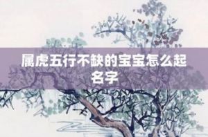 2025年12月出生的属虎宝宝五行属性及推荐优雅名字