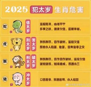 2025年农历八月初六出生男宝宝取名推荐：睿智与聪明并存的名字