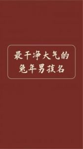 2025年农历四月兔年宝宝取名推荐