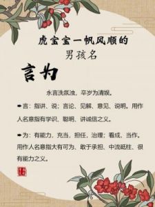 虎年元宵节出生宝宝的优雅起名，精选高分虎宝宝名字