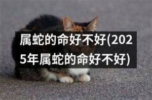 2025属蛇运势揭秘：哪个月份最有福气？