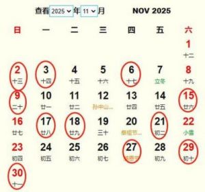 为2025年十一月初四出生的女生精选文雅洋气的名字