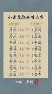 适合虎年6月份出生宝宝的名字及取名技巧分享！