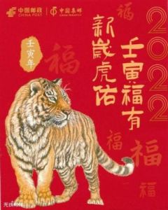 2025年12月出生的壬寅虎男孩寓意名字大全