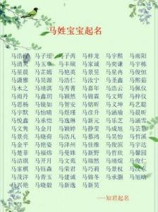 扶姓男孩取名指南：温柔与气质兼具的名字选择