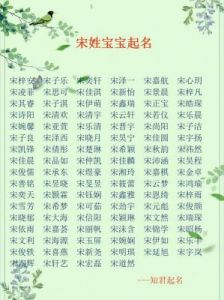 如何为别姓宝宝取名：宋词中的优雅名字选择