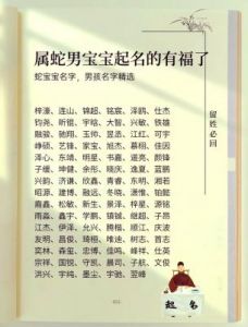 2025年男孩取名推荐：精选好听的免费名字