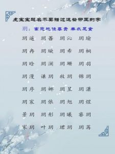 宁姓女宝宝取名指南：冉字的灵感与参考