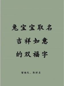 2025年兔年男宝宝起名参考与吉祥寓意解析