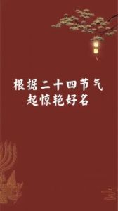 2025年6月6日芒种节气出生男孩起名字选推荐