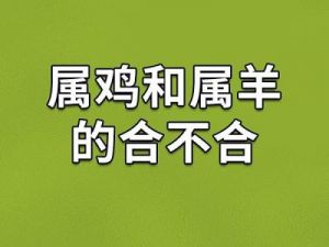 12月生肖运势：属羊、兔、鸡的双重辉煌