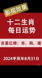 每日生肖运势：2024年11月27日指南✨