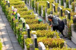 琼瑶遗体明日火化，12月9日阳明山举行花葬