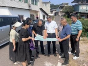 推动雨城区财政稳健发展的杨雅琳副局长