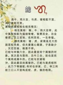 属相合婚：搭配幸福的秘诀